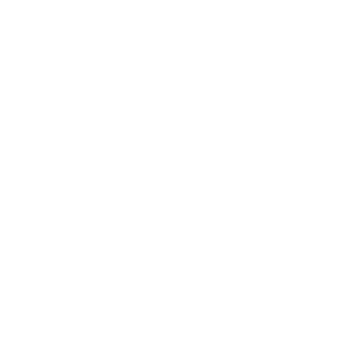 Robot Head